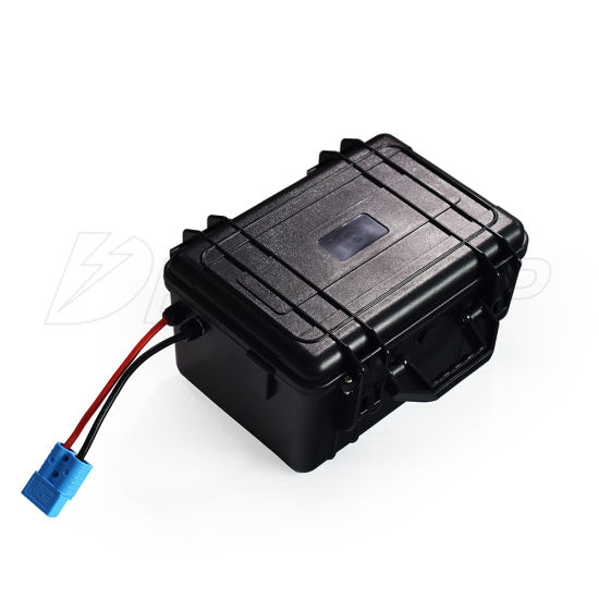 Deep Cycle wasserdichte 24V 100ah LiFePO4 Lithium Batterie BMS 8s für Sonnensystem Fahrzeugboot