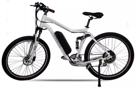 Hailong Akku 48V 15ah Ebike Akku für Elektrofahrrad 500W 750W 800W