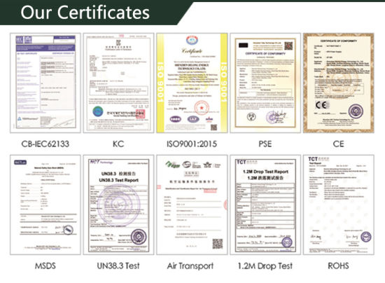 Ce-MSDS-genehmigter tiefer Zyklus LiFePO4 12V 50ah Lithium-Ionen-Akku für Solar-/Roller