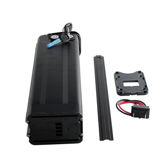 Heißer Verkauf in Israel 48V 10ah elektrische Fahrradbatterie mit USB für Ebike