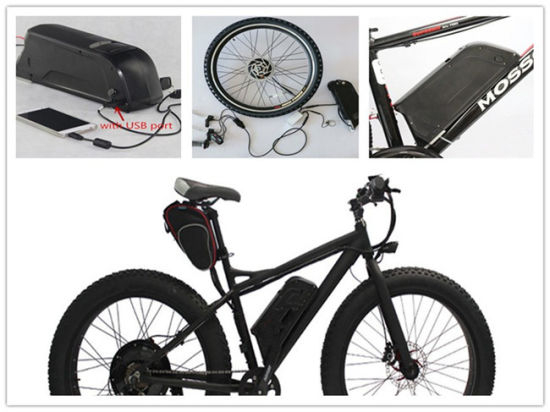 Dolphin Batterie Unterrohr Typ Ebike Fahrrad Lithium Batterie 48V 13ah Lithium Batterie