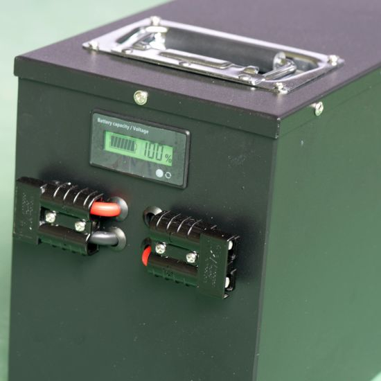 Deep Cycle LiFePO4 48V 60ah Lithium-Eisen-Phosphat-LiFePO4-Batteriepack