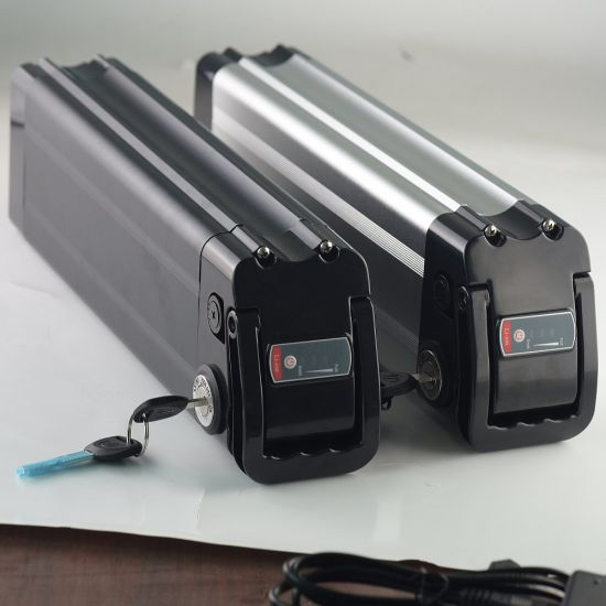 Fabrik verkaufen 1000W Lithium Ebike Batterie Silber Fisch Batterie 48V 20ah