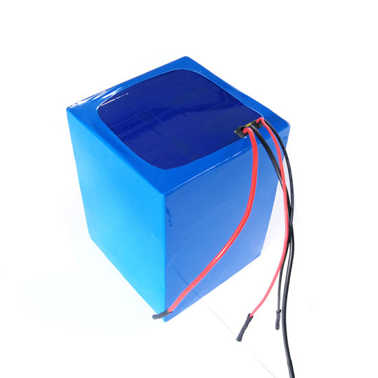 Elektrofahrrad-Batterie 48V 20ah wiederaufladbarer Lithium-Polymer-Akkupack