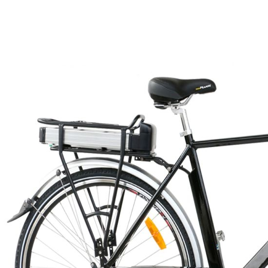 Großhandelspreis Lithium 1000W Elektrofahrrad Akku 48V 20ahfor Roller Ebike