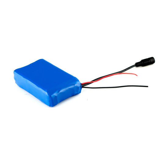 Wiederaufladbarer 11.1V Lipo Akku 6ah Lithium Polymer Akkupack