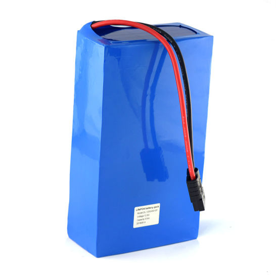 Deep Cycle 12V 50ah LiFePO4 Batteriepack