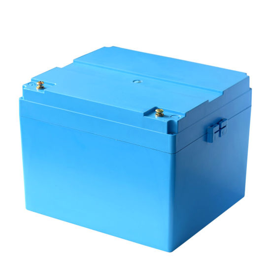 Fabrik 12V 100ah LiFePO4 Batteriepack mit BMS Lithium-Eisenphosphat-Batteriepack