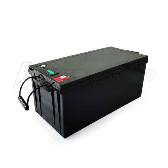 Lithium LiFePO4 24V 100ah Batterie mit BMS 2,56kwhrs 100ah Batterie für Marine und Wohnmobile