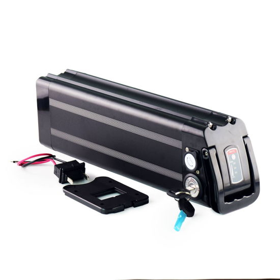 1200W 1000W 750W Silberner Fisch Ebike Akku 48V 20ah 13s7p 18650 Lithium Akku