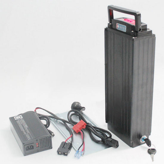 Elektrische Fahrradbatterie 48V 20ah Lithium Batterie Pack 1000W Ebike Batterie mit BMS