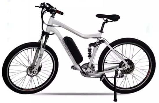 Hailong 26 &quot;500W 36V 12.5ah Fattire Mountain Beach Elektrofahrrad Fahrrad E-Bike Ebike Batterie