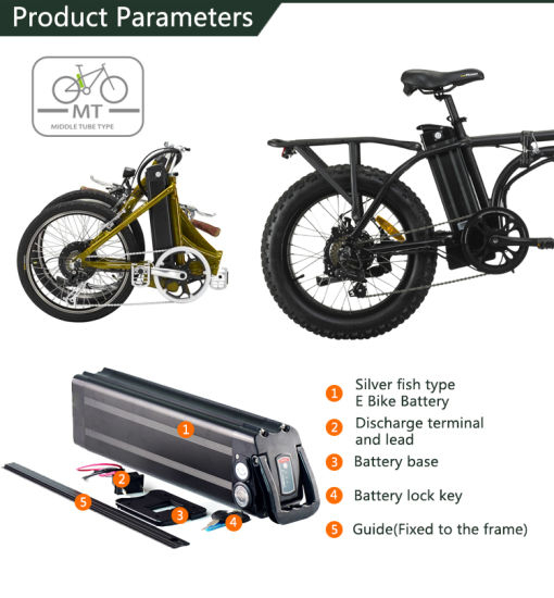 Fabrik verkaufen 1000W Lithium Ebike Batterie Silber Fisch Batterie 48V 20ah