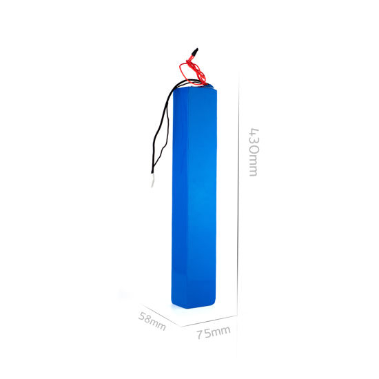 Kundenspezifischer 48V/36V 10ah Lithium-Ionen-Akku