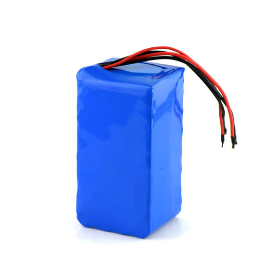 24 Volt 10ah / 20ah Lithium-Ionen-18650-Akku mit BMS-Elektroroller-Elektrodreiradbatterien