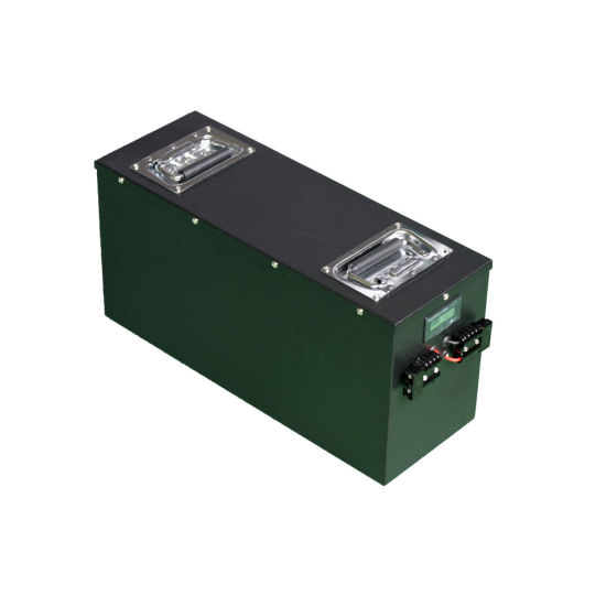 Deep Cycle LiFePO4 48V 60ah Lithium-Eisen-Phosphat-LiFePO4-Batteriepack