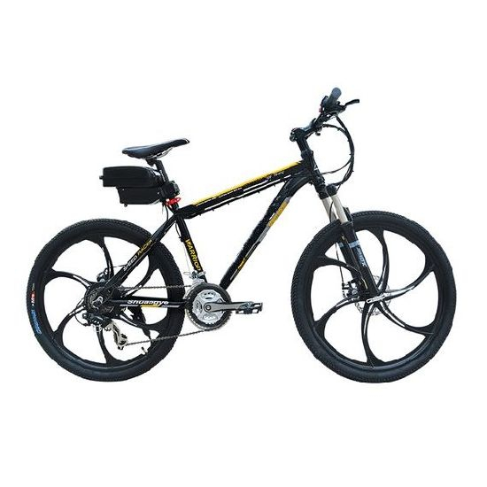 E-Bike Akku 32650 LiFePO4 Akkuzellen 24V 10ah für Elektrofahrrad Scooter