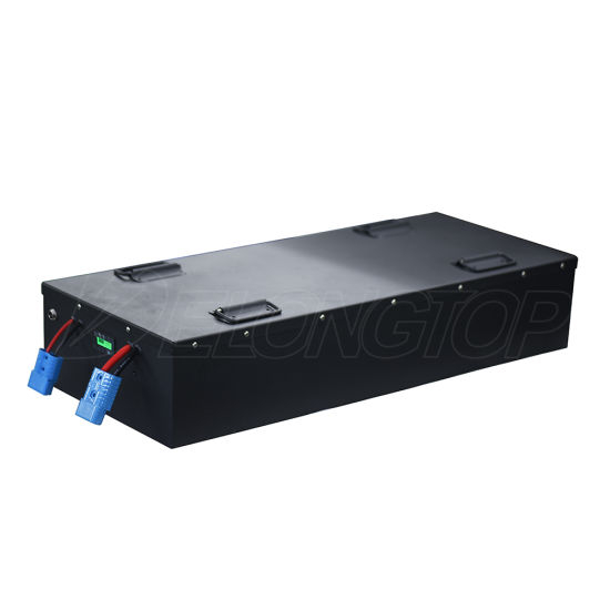 EV Autobatterie LiFePO4 48V 200ah BMS Camper Prismatische Batterien