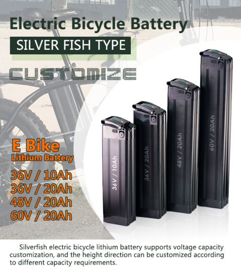 Silver Fish Lithium-Ionen-Pack 48V 17.5ah 17ah Ebike Akku USB für 750W 1000W Motor