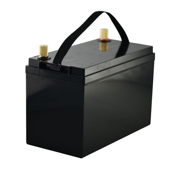 Wiederaufladbare Speicher-Lithium-Batterie 12V 100ah LiFePO4 Batteriepack