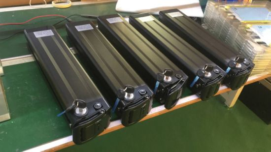 Fabrik verkaufen 1000W Lithium Ebike Batterie Silber Fisch Batterie 48V 20ah