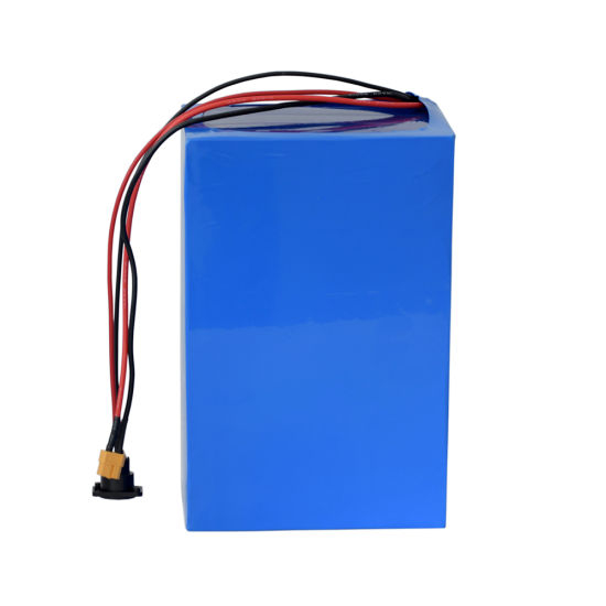 Wiederaufladbare LiFePO4-Batterie 48V 40ah für LED-Birne