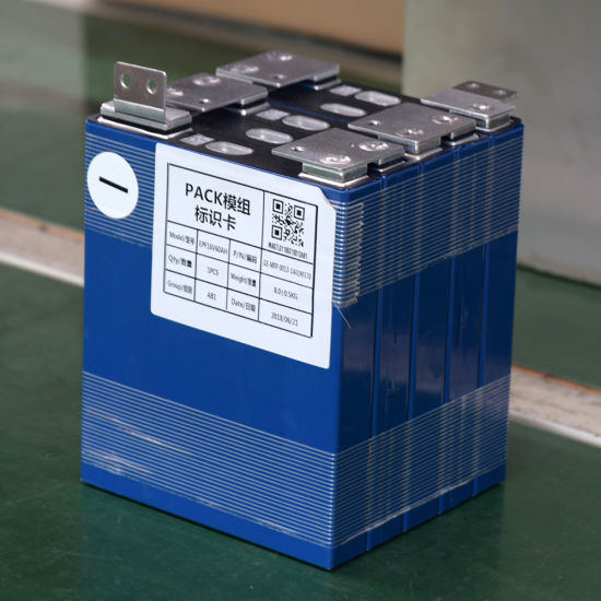 Kundenspezifischer Lithium-Akku in Autobatterie mit Ladegerät