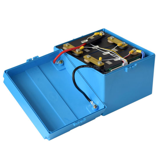 2000 Lebenszyklus LiFePO4 12V 50ah Batterie mit LED-Leistungsanzeige DC5521 Port 12V 100ah Batterie