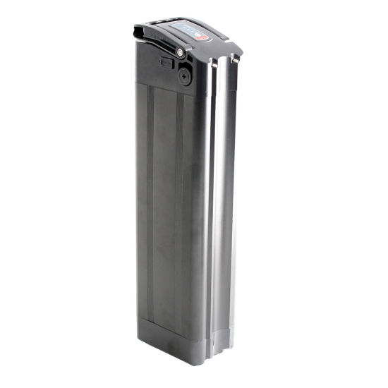 48V 20ah Silver Fish Lithium Batterie mit USB für 1000W Ebike