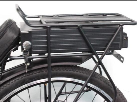 Gepäckträger-Style 48V 20ah Lithium-Batterie für Ebike