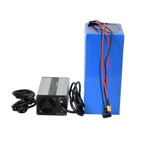 Kundenspezifische LiFePO4 48V 20ah Batterie für Elektrofahrzeuge