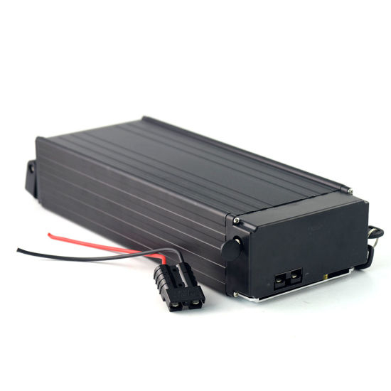 1000W Elektroroller Ebike Lithium-Ionen-Batterie 48V 20ah