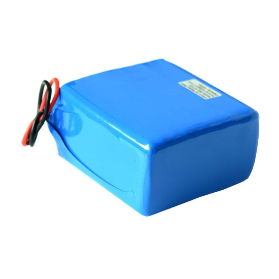 Direkt ab Werk 3,7 V 100 Ah Lithium-Polymer-Elektrofahrradbatterien Pack Motorbatterie