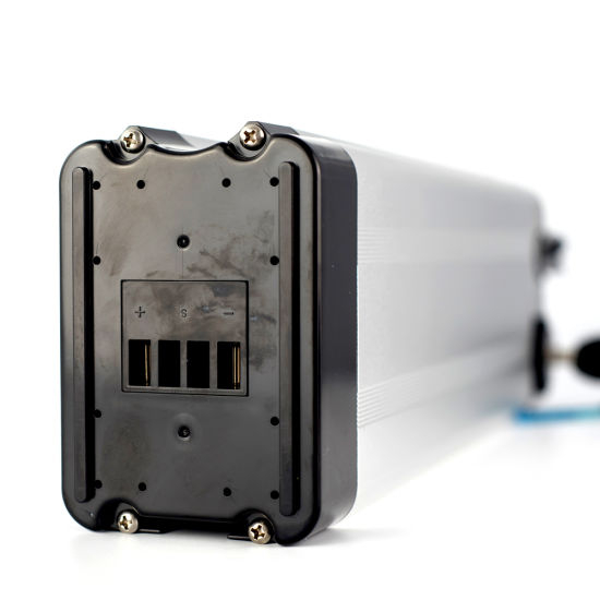 Elektrofahrrad-Lithium-Batterie 48V 10ah mit Ladegerät 48V Lithium-Ionen-Akku