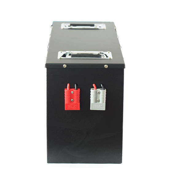 48V 100ah Lithium-Eisen-Phosphat-LiFePO4 RV-USV-Batteriepack